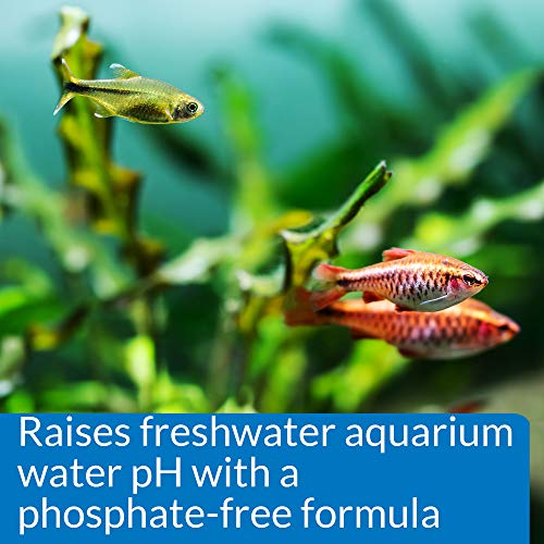 API pH UP Freshwater Aquarium Water pH Raising Solution for fish,4-Ounce Bottle, Brown - size: 4 oz