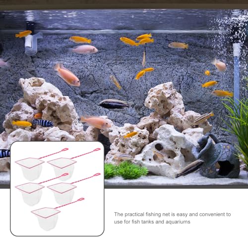 Toyvian 5pcs Handheld Fishing Net for Aquarium Non- Handle Fine Mesh Design for Small Fish Convenient Fishing Tools for Fish Tank