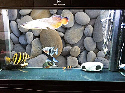 Pebbles Aquarium Background Poster HD Fish Tank Decor Landscape 24" 48" 72" (24" x 12"/ 61 x 30cm)