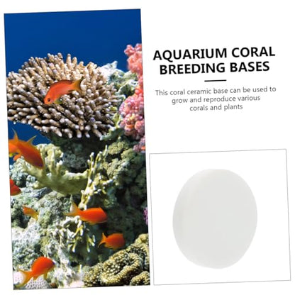 10pcs Fish Tank Coral Base Coral Mount Gel Gasket Stand Cave Heater Cobble Pad Goldfish White Serving Tray Fish Tank Siphon Plant Tanks Plug Aquarium Breeding Bases Ceramics