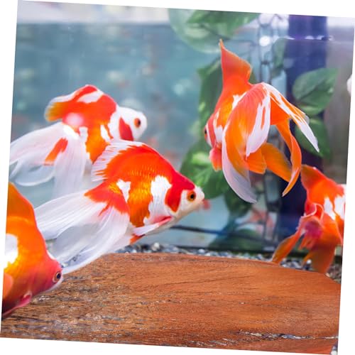 POPETPOP 5 Sheets Palm Tree Bark for Fish Breeding Delicate Barks for Aquarium Decor Plant Supply and Garden Backdrop for Hatching Fish Fry and Enhancing Aesthetic Appeal