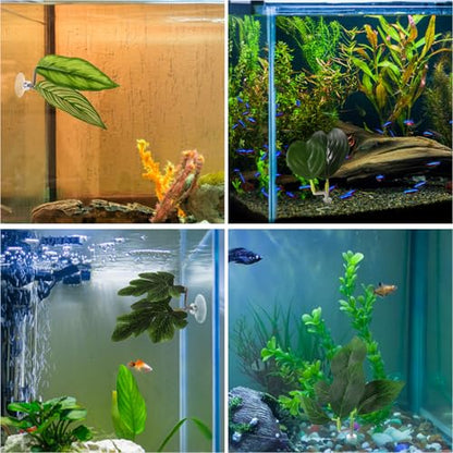 4pcs Betta Leaf Hammocks, 4 Styles Suction Cup Fish Tank Decor Leaves Fish Tank Plant Decor Accessories for Simulating Natural Habitats(Green)