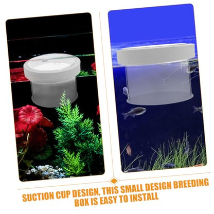 Acrylic Fish Breeding Box Mesh Bottom for Aquatic Nursery Medium Isolation Container for Fry and Shrimp Easy Aquarium Use