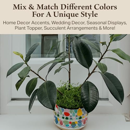 Preserved Spanish Moss - Decorative Moss - Dried Moss for Crafts, Home Decor, Art, Design & DIY Projects - for Indoor Use - Green Apple - Standard Box - Covers 10-12 sq. ft.