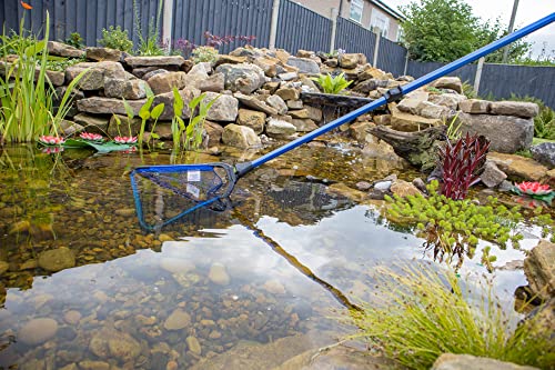 Collapsible Water Garden Koi Fish Pond Fish Catching Landing Net, 16 Inch by 13 Inch Wide (6mm) Course Durable Nylon Mesh Net Head, with Telescoping Extension Pole to 6 Ft