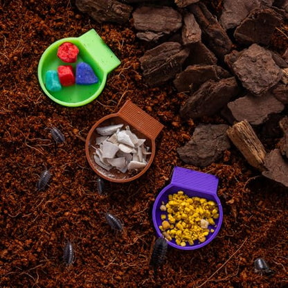 12-Pack Feeding Dish for Invertebrates – Feeder Bowls for Dubia Roaches, Isopods, Springtails, Superworms, Small Insects & More – Mini Bowls for Reptile Food & Supplements
