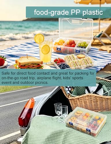 Tackle Box Organizer Snackle Box Container - Double Layer Thickened PP Small Snack Tackle Boxes Plastic Organizer Box with Dividers, Heavy Duty Arts Crafts Clear Organizers