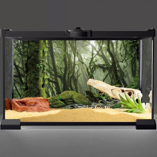 AWERT Tropical Forest Terrarium Background Stream Green Huge Tree Reptile Habitat Background Foggy Rainforest Aquarium Background 48x18 inches Durable Polyester Background - size: 48 x 18 inches