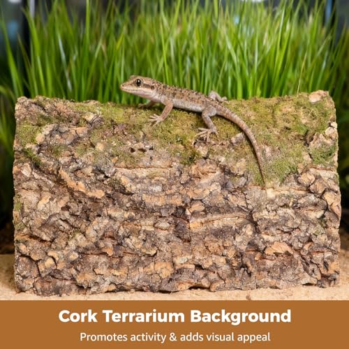 4 Pcs Cork Terrarium Background, 15.7 x 11.8 in Reptile Cork Bark Mat, Natural Cork Bark Climbing Sheet, Cut to Fit Bark Backdrop Wall Decor for Aquarium, Vivarium, Reptile Habitat