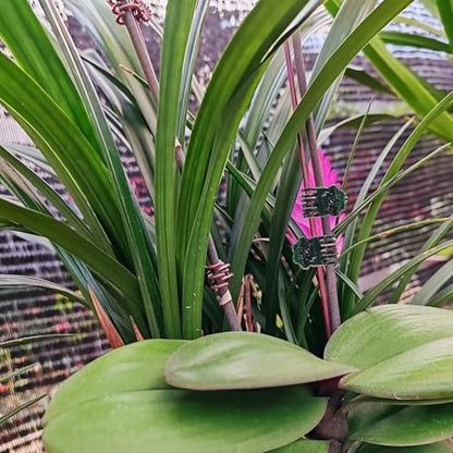 200PCS Garden Plant Orchid Clips Plant Clips Dark Green Plant Orchid Support Clips Garden Orchid Clips for Supporting Stems Vines Stalks Grow Upright
