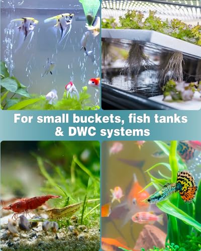 Pawfly Aquarium 0.8 Inch Air Stone Ball Bubble Diffuser Release Tool for Nano Air Pumps Small Buckets and Fish Tanks, 10 Pack