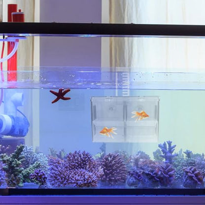 BESPORTBLE Fish Breeding Hatchery Box with Hooks, Aquarium Isolation Nursery Tank, Dual-Chamber Incubator for Tropical Fish Fry and Guppy Breeding in Home Aquariums