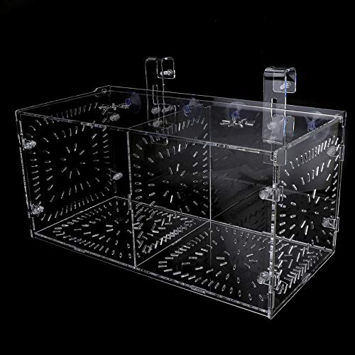 Acrylic Fish Breeding Box 20x20x20cm Mesh Rearing Trap for Baby Shrimp Clownfish Guppy, Isolation Board Prevents Adult Attack, Adjustable Suction Cup Fixation for Aquarium Hatchery - size: 30CM*15CM*15CM