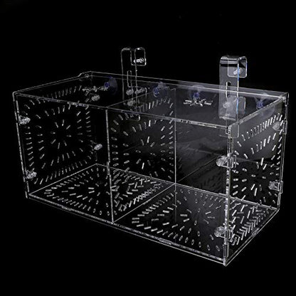 Acrylic Fish Breeding Box 20x20x20cm Mesh Rearing Trap for Baby Shrimp Clownfish Guppy, Isolation Board Prevents Adult Attack, Adjustable Suction Cup Fixation for Aquarium Hatchery - size: 30CM*15CM*15CM