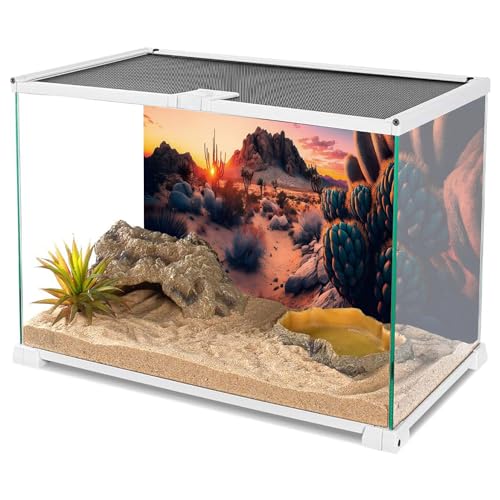 AWERT 30x18 inches Oasis Reptile Habitat Background Cactus Sun and Desert Terrarium Background Polyester Reptile Habitat Background - size: 30x18in/75x45cm