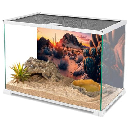 AWERT 36x20 inches Oasis Reptile Habitat Background Cactus Sun and Desert Terrarium Background Polyester Reptile Habitat Background - size: 36x20in/90x50cm