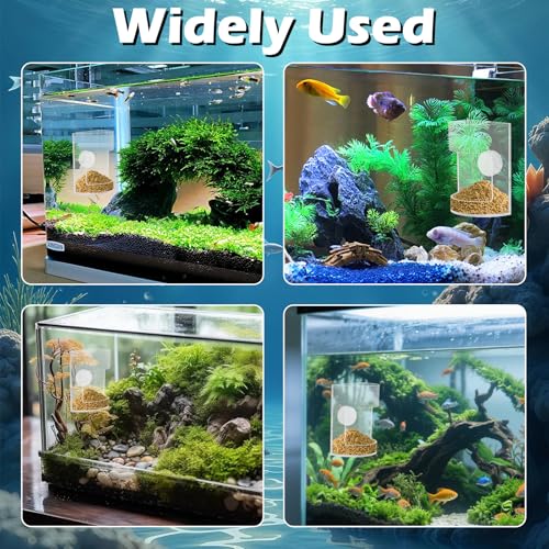 New Fish Tank Feed Tray with Suction Cup, Tank Divider Supplies, Feeding Tube Supplies Breeder Box for Aquarium, Round Aquariums & Fish Bowls Accessories - color: 1.Transparent
