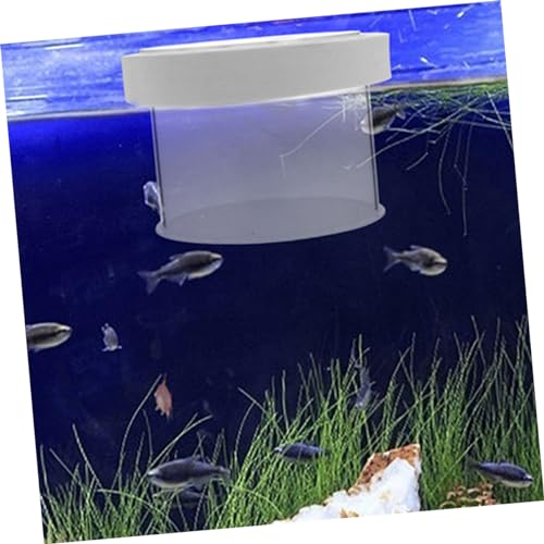 Acrylic Fish Breeding Box Mesh Bottom for Aquatic Nursery Medium Isolation Container for Fry and Shrimp Easy Aquarium Use