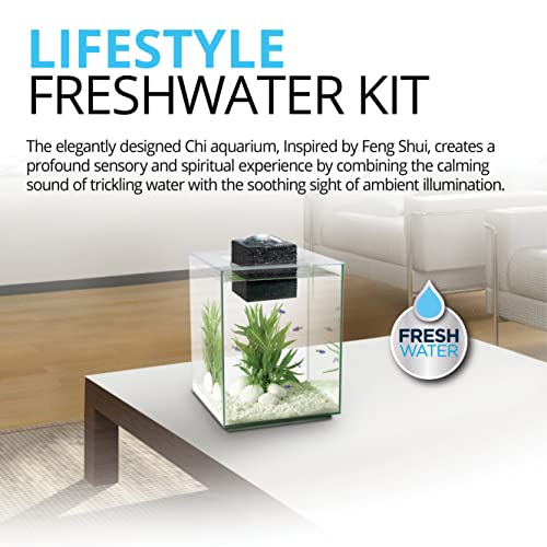 Fluval Chi II Series Aquarium Set, 5-Gallon - Aquarium Tank with Ambient LED Lighting, Flowing Water, and Elegant Design, White