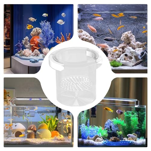 Fish Tank Breeder Box - Fish Breeder Box for Aquarium | Safe Divider Hatchery Incubator | Feeding Container for Fry, Egg, Shrimp, Guppy, Acclimation, Angelfish, Betta, PP Material