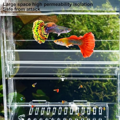 Aquarium Fish Breeding Box, Acrylic Transparent Multi-Grid Design Fish Isolation Box Hatchery-Incubator for Newborn Fry Shrimp Clownfish Aggressive Fish Injured Transparent M