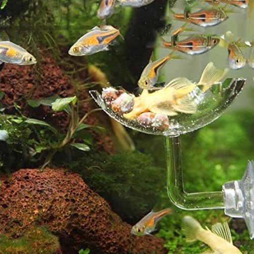 Bilindasly Acrylic Shrimp Feeding Dish Floral Shrimp Bowl Aquarium Transparent Feeder Container with Suction Cup for Aquarium Fish Tank
