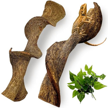 2Pcs Reptile Climbing Branches Decor,2.5-3.25" Think Snake Climbing Branch,Gecko Climb Wood,Lizard Bold Forest Branch,Tank Habitat Tree Trunk Decorations for Bearded Dragons,Chameleons,Frogs - size: 2PCS|XL:2.50-3.25"D,13"L