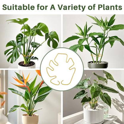 Monstera Plant Support for Indoor Plants Metal Plant Stem Holder Plant Support Ring for Climbing Plants Stem Stabilizer (6.29 * 7.08inch/ 5) - size: 6.3*7.1/5