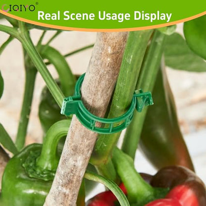 CIQIYO® 200 Pcs Plant Support Clips,Plastic Clips for Securing Plants,Tomato Vine Clips,Plant Fixing Clips,Garden Clips for Climbing Plants,Grape and Vine Vegetables (200, Green)