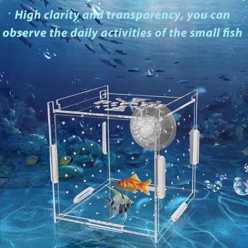 Acrylic Fish Breeding Box，Guppy breeding Box Acrylic Fish Isolation Box Aquarium Incubator with Suction Cups for Guppy Shrimp Small Baby Fishes（3.9 x 3.9 x 3.9 inches） - size: S(3.9 * 3.9 * 3.9in)