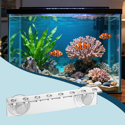 Rack Aquarium Stand Support Holder Versatile Enhanced Suction Cups Efficiency Single Row Arrangement Acrylic, 8 Holes - size: 8 holes