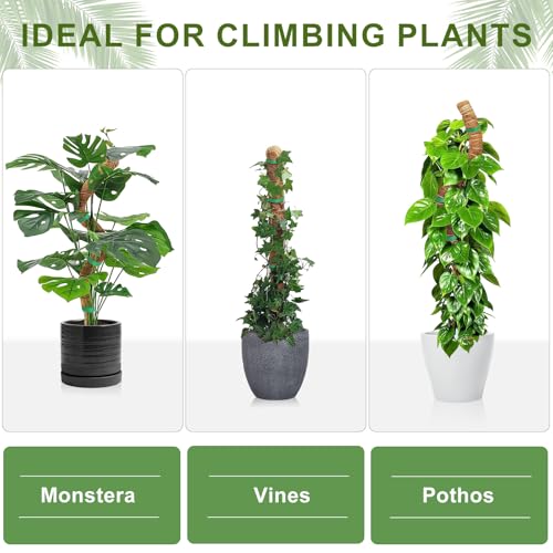 Moss Pole Monstera Plant Support, 2 Ft, 2 Pack Sustainable Coir Bendable Moss Pole Stakes, Plant Sticks for Climbing Vines, Pothos, Potted, Comes with Velcro Tape and Hemp Rope