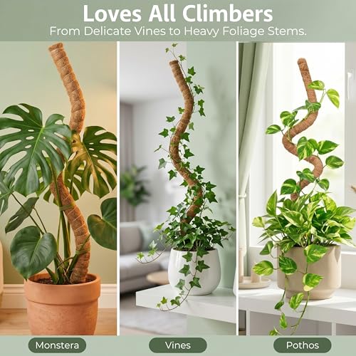 30 Inches Bendable 2 Pack Moss Pole Monstera Plant Support Stakes - Moss Poles for Climbing Plants, Plant Stakes for Indoor Plants - Coco Coir Pole Moss Stick for Monstera, Pothos.