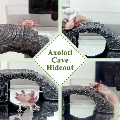 Axolotl Cave Axolotl Hides for Aquarium & Terrarium, Shelter for Pleco, Crabs, Fish, Turtles, Betta, Geckos, Frog, Resin Tank Decor