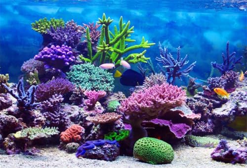 5x3ft Under The Sea Backdrop Underwater Seascape Coral and Fish Aquarium Small Background for Photography Marin Ocean Diving Atoll Reef Summer Kids Birthday Portrait Photoshoot Studio Props - size: 5x3ft