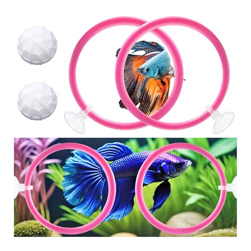 Betta Fish Toys - 4 Training Rings & 2 Bio Filter Balls, Beta Exercise Loop Toys and Nitrifying Balls Set, Betta Fish Tank Accessories Feeding Ring for Small Tank Decor Aquarium Water Conditioner - color: Pink