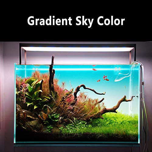 Aquarium Backlight Screen-Fish Tank Background Light,for Rimless Aquarium,Ultra-Thin 6mm Gradient Colors Panel.RGB Series - size: 23.6W×15.7H in(60x40cm)RGB