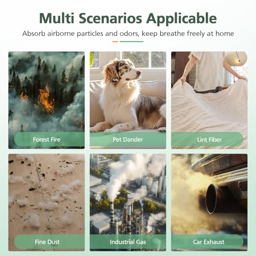 5-in-1 HEPA Air Purifier Filter for Aeocky Pandora, with Extra 2 Washable Pre-Filter, 2 Pack (Green VOCs)
