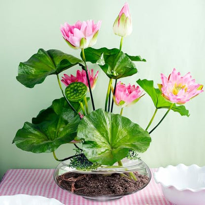 6 Pcs Hydroponic Planter Lotus Flower Pot Planter Lotus Bowl Clear Glass Fish Bowl Vase for Planting Indoor Home Decor Water Lily Narcissus Planting Water Lily (7.09in) - size: 7.09in
