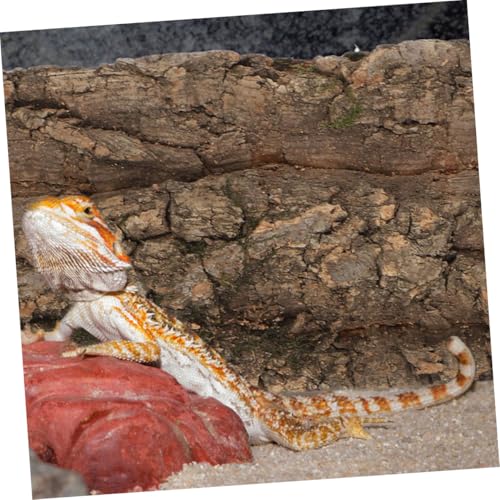 3pcs Natural Cork Reptile Background Panels Terrarium Bark Backdrop for Fish Tanks and Reptile Cages Reusable Habitat Decoration for Lizards Snakes Tortoises and Amphibians