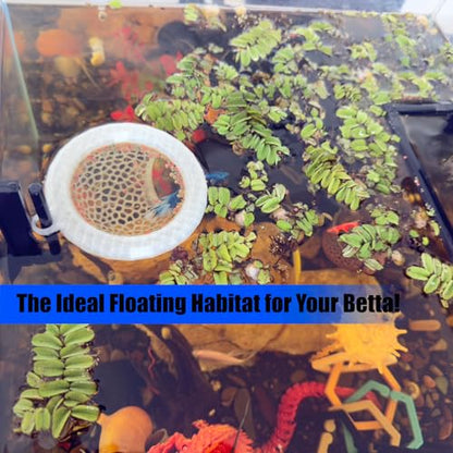 Fish Tank Floating Betta Hide，Betta or Shrimp Burrows and Hammock, Fish and Shrimp Feeder，Multifunctional Aquarium Accessories，Anchorable Location (Translucent) - color: Translucent