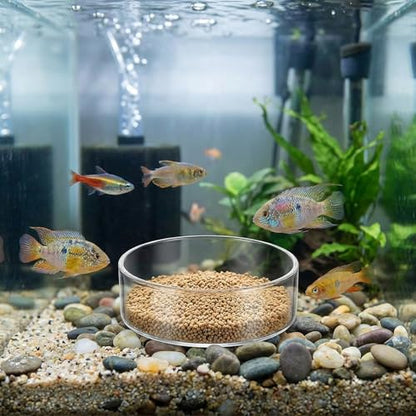3 Sizes Glass Shrimp Feeding Dish Set, Round Food Feeder Fish Bowl Small Clear Bowls for Aquarium, Fish Tank (2.36", 2.56", 3.15")