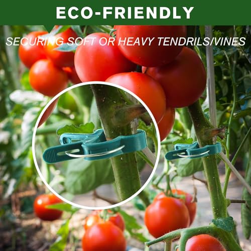 A Plant Clamp Used for Climbing Plants,Horticultural Clip Used to Support Climbing of Flower Stems, Vines, Vegetables, and Tomatoes,Vine Clip for Garden Vine Training (Green, 120big) - size: 120 Big