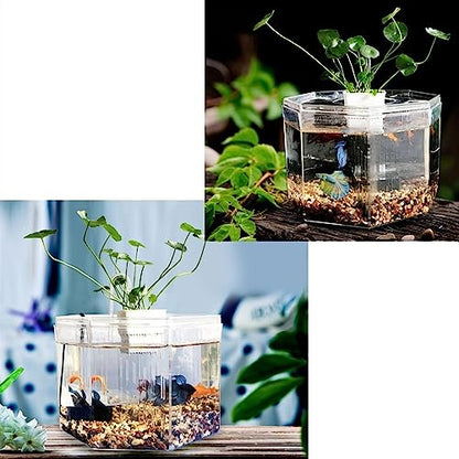 MACIUM Fish Bowl Vase Small Fish Tank Isolation Box Breeding Special Acrylic Transparent Fish Tank with Pump Filtration Ornamental Fish Tank Desktop Ornaments Small Fish Tank Starter Kit