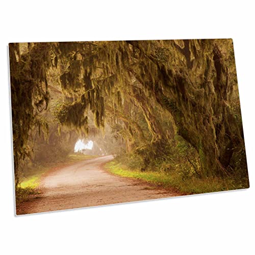 3dRose Moss Draped Trees Along Laurel Hill Drive, Savannah... - Desk Pad Place Mats (dpd-259207-1)