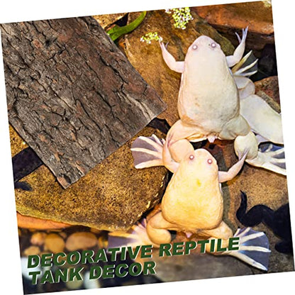 balacoo 6pcs Bark Terrarium Decor Stylish Reptile Background for Aquarium Tank Easy Placement for Reptiles Turtles Hamsters