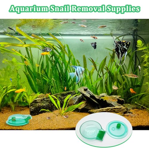 Aquarium Snail Trap, Plastic Snail Catcher for Freshwater Fish Tank Green Snail Catch Box Snail Removal Supplies Aquarium Cleaning Spare Parts Accessories
