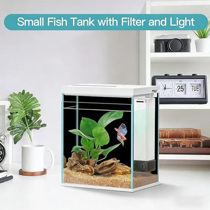 2 Gallon Glass Betta Fish Tank with Heater Filter and Light, Self-Cleaning Small Aquarium Starter Kits
