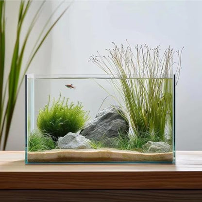 3 Gallon Glass Fish Tank, Easy to Maintain Small Aquarium for Betta/Goldfish/Snails/Shrimp and Aquatic Planting. - size: 3 Gallon