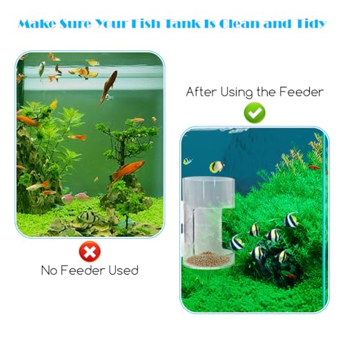 Clear Fish Tank Feeding Tray with Suction Cup Feeding Tube Aquarium Divider Supplies Breeder Box for Food Tanks Bowls(Round)